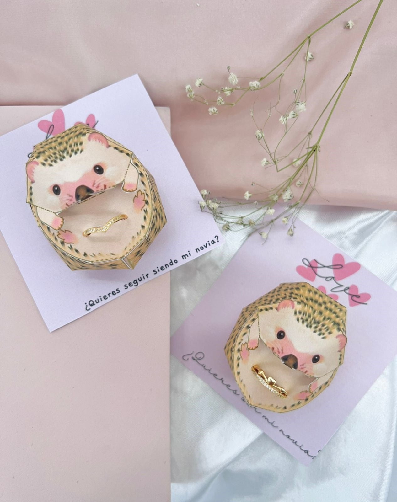 TARJETA ERIZO 3D