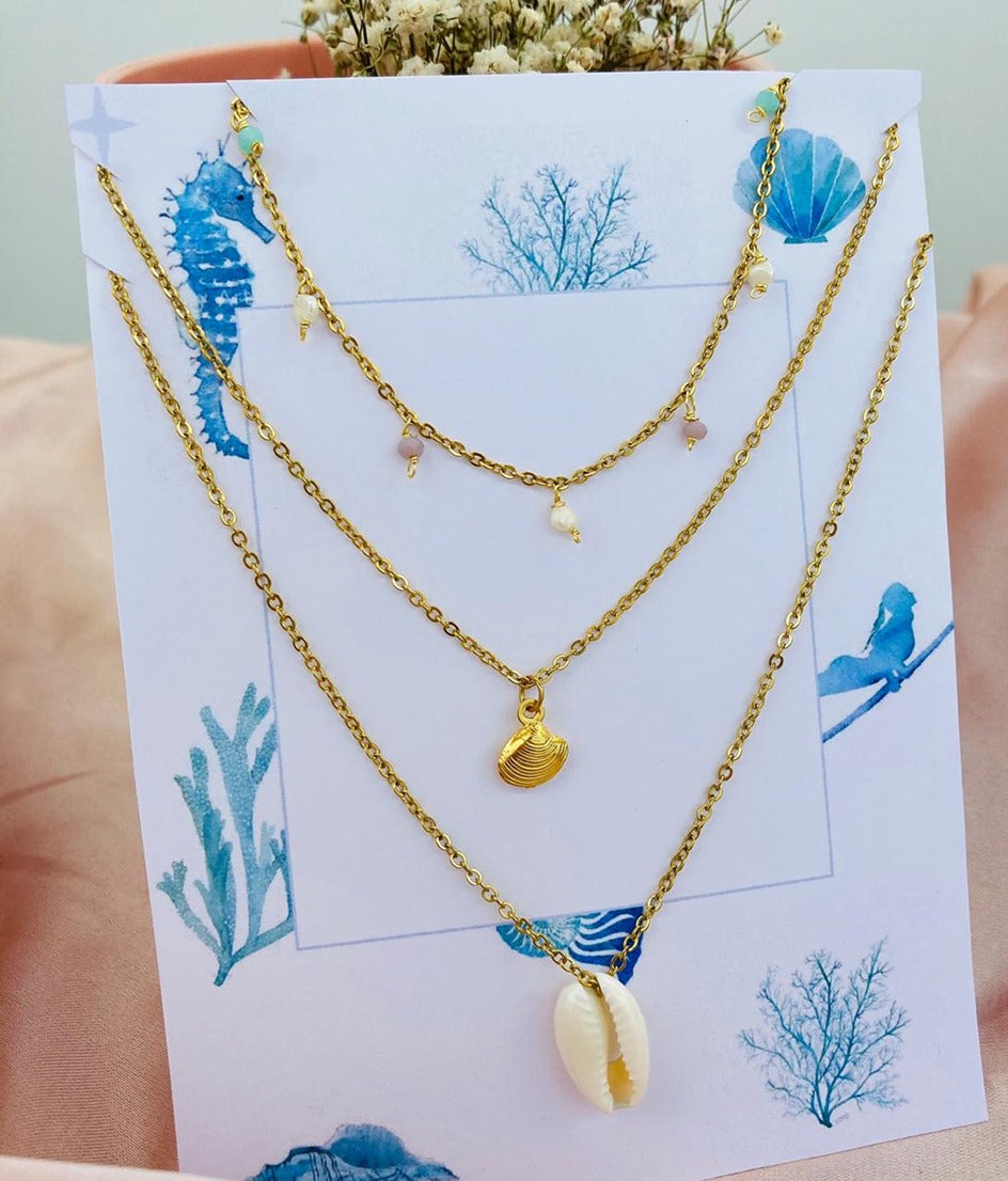 C0087 Conchita de mar