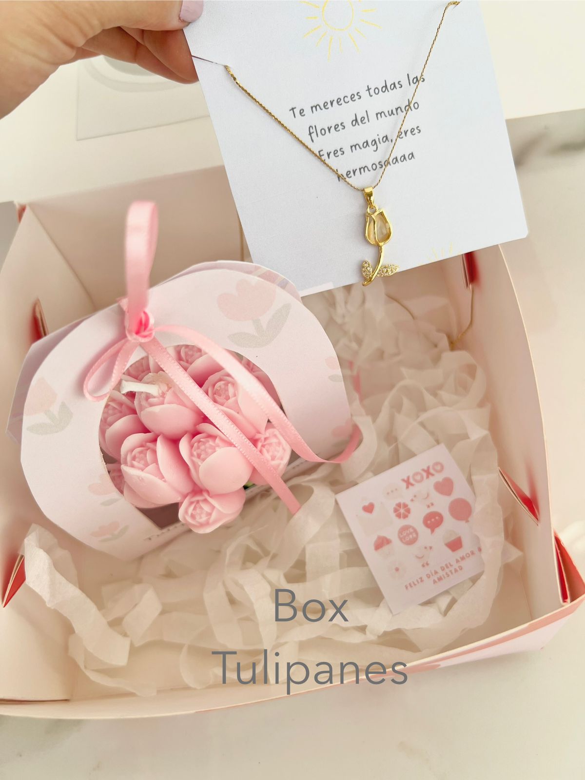 BOX TULIP
